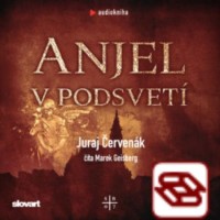 Audiokniha Anjel v podsvetí (Barbarič a Stein 7)