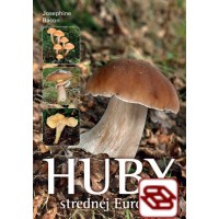 Huby strednej Európy - Kľúč na správne určenie