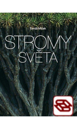 Stromy světa