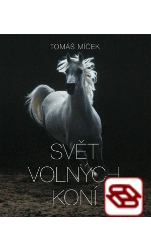 Svět volných koní