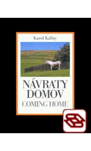 Návraty domov / Coming Home