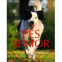 Pes senior 
