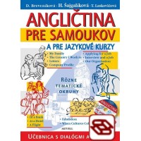 Angličtina pre samoukov a jazykové kurzy + 2 CD - Učebnica s dialógmi a frázami